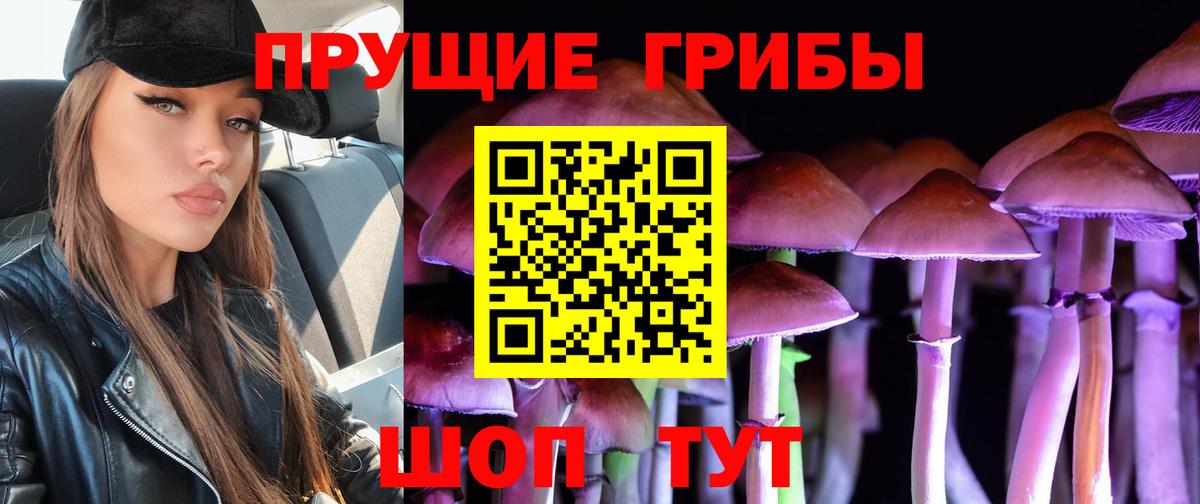 Галлюциногенные грибы Magic Shrooms Куйбышев