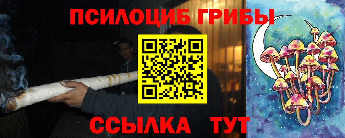 Псилоцибиновые грибы Magic Shrooms  Галлюциногенные грибы MAGIC MUSHROOMS  Куйбышев  Вход с VPN 